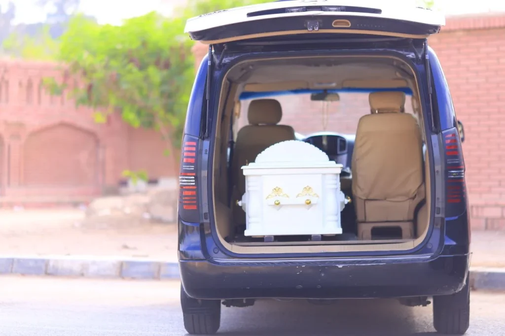 photo 7 2024 10 06 20 12 35